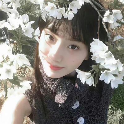 双子镇 海报