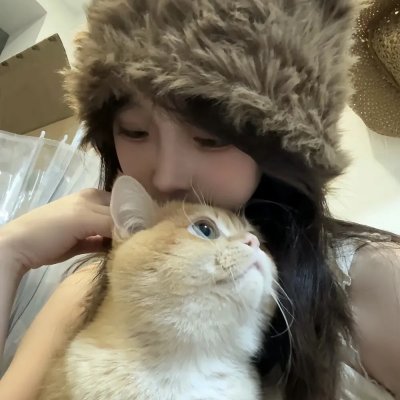 极地爱恋 海报